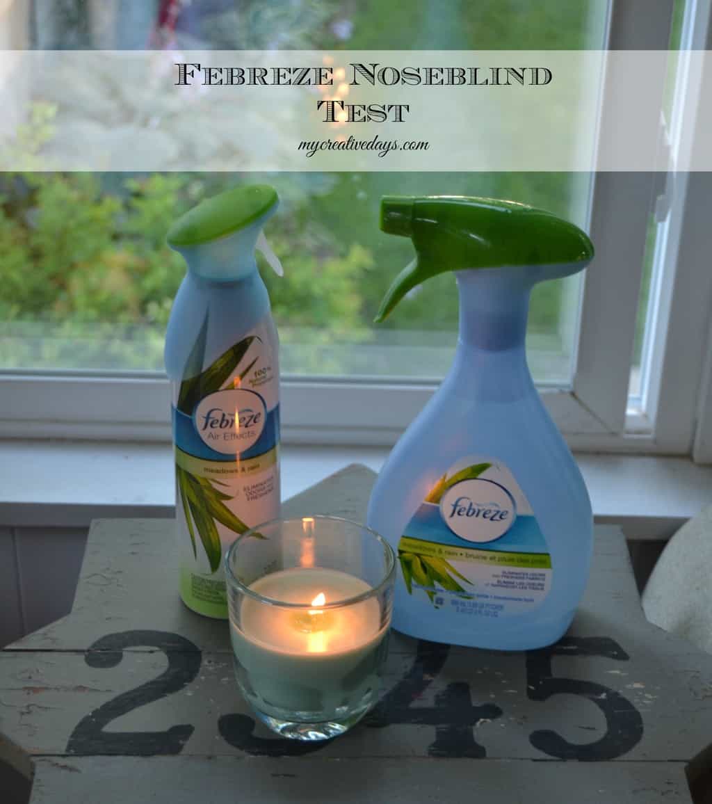 Febreze Noseblindness Review & Giveaway Febreze Noseblindness Review & Giveaway mycreativedays.com