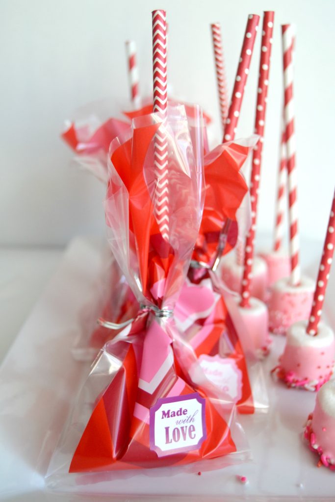 Looking for an easy and inexpensive valentine idea for your child's class? Check out these Homemade Valentines from My Creative Days.