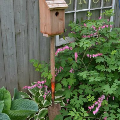 Repurposed Bird House