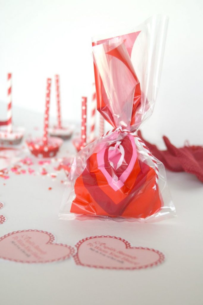 If you are looking for a great homemade valentines idea, this is it. Click over to find the recipe for these sweet, homemade chocolate valentines that will make your valentine very happy.