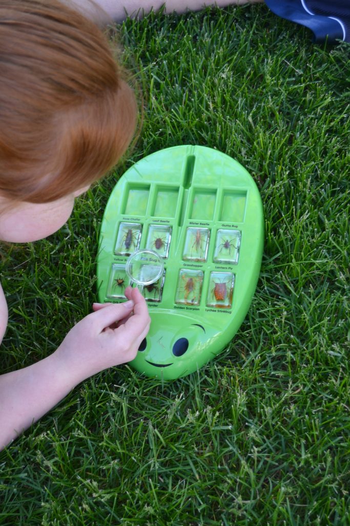 Are you looking for some fun bug activities to keep the kids entertained and learning? The spring and summer months are great for these 8 Bug Activities For Kids from My Creative Days.