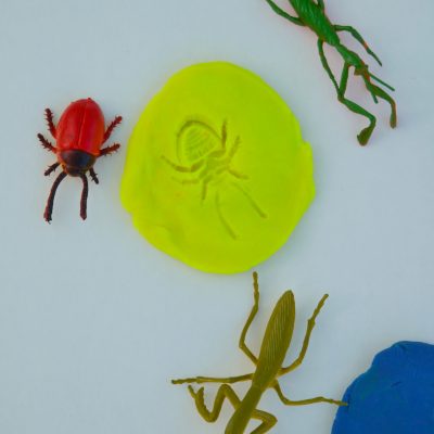 8 Bug Activities For Kids