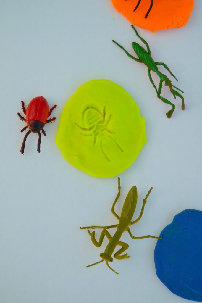 Are you looking for some fun bug activities to keep the kids entertained and learning? The spring and summer months are great for these 8 Bug Activities For Kids from My Creative Days.