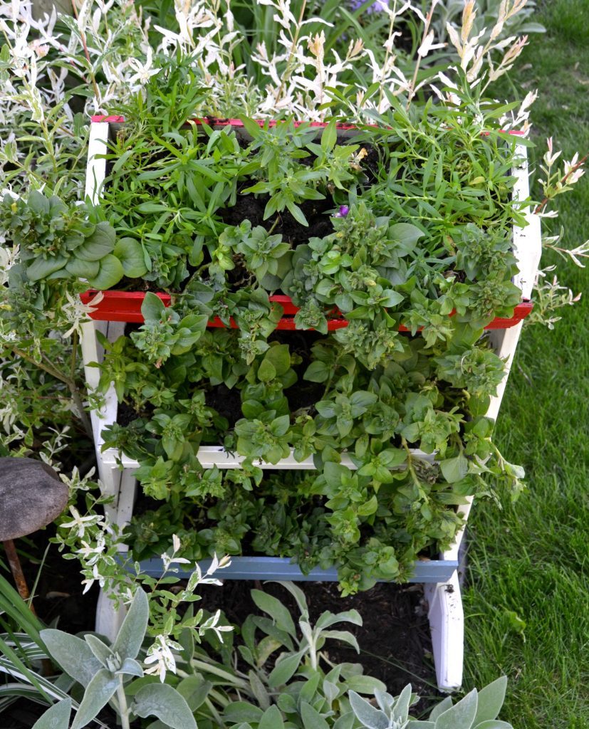 If you are looking for a fun way to add some patriotic flair to your yard this season, click over and see how to DIY this Red, White & Blue Rectangular Planter in no time!