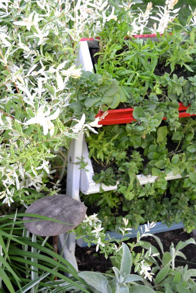 If you are looking for a fun way to add some patriotic flair to your yard this season, click over and see how to DIY this Red, White & Blue Rectangular Planter in no time!