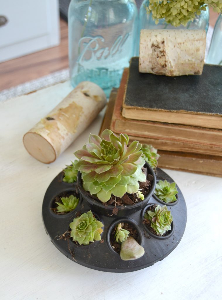 If you love succulents and want to find a unique way to display them, click over to find the easiest DIY planters to house all your succulents!