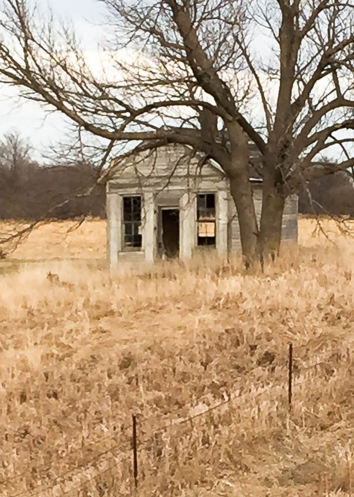 An old farmhouse is always fascinating, but when we found this old farmhouse, I had to get out, take some photos and I found some unexpected inspiration I wasn't even looking for. 