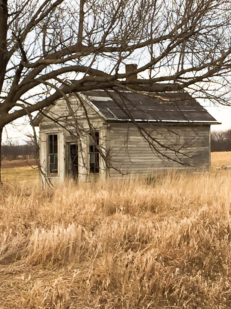 An old farmhouse is always fascinating, but when we found this old farmhouse, I had to get out, take some photos and I found some unexpected inspiration I wasn't even looking for. 