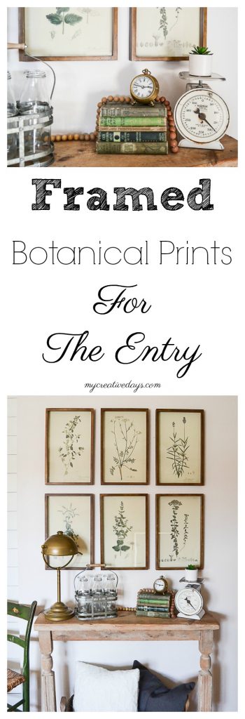 Framed botanical prints are a beautiful addition to any style decor. They add a touch of natural decor wherever you hang them. The entry, bathroom, dining room and/or living room will all come alive with a gallery wall of framed botanical prints. 