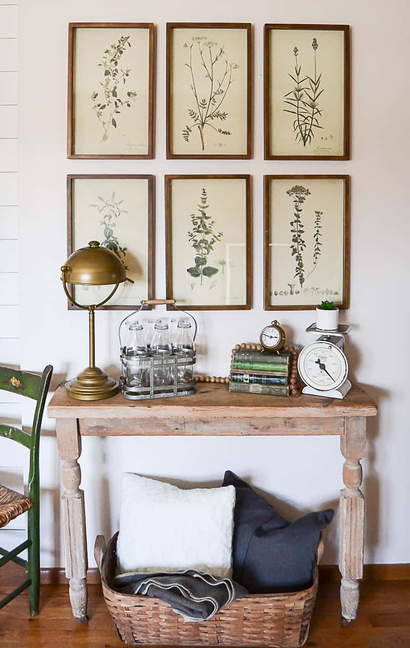 Botanical shop prints framed