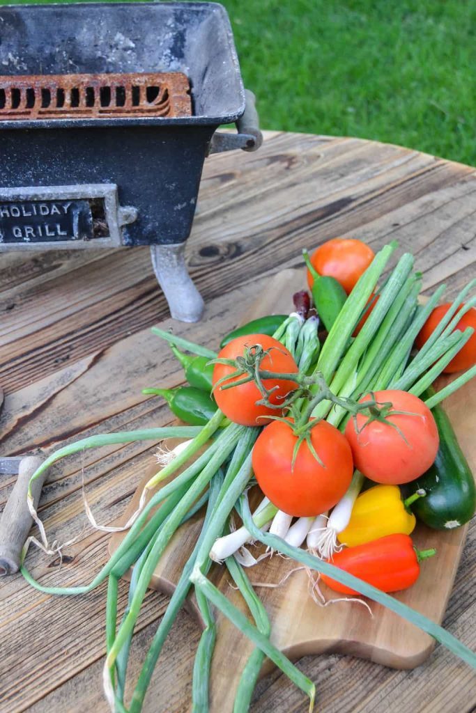 If you love homemade salsa, click over to get this easy Roasted Spicy Salsa Recipe that can be made from your garden veggies. 