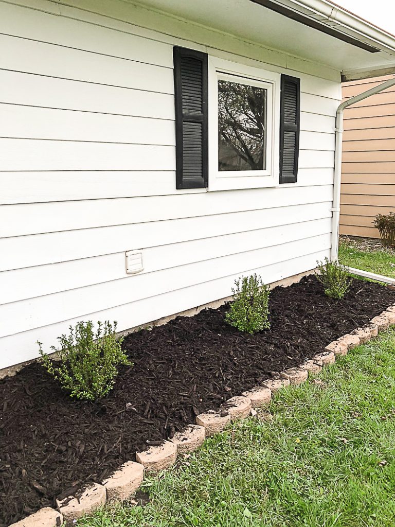 If you are looking for easy ways to add curb appeal to your house or an investment property, click over to find some amazing Low Growing Shrubs To Add Curb Appeal to any house.