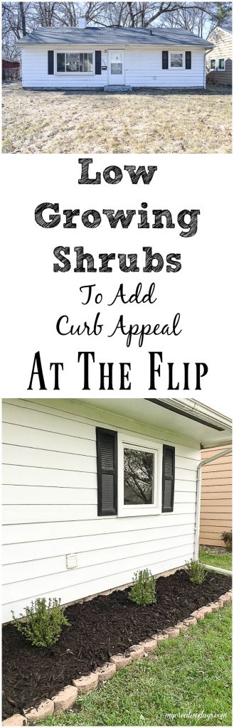 If you are looking for easy ways to add curb appeal to your house or an investment property, click over to find some amazing Low Growing Shrubs To Add Curb Appeal to any house.