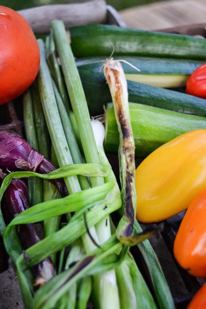 If you love homemade salsa, click over to get this easy Roasted Spicy Salsa Recipe that can be made from your garden veggies. 