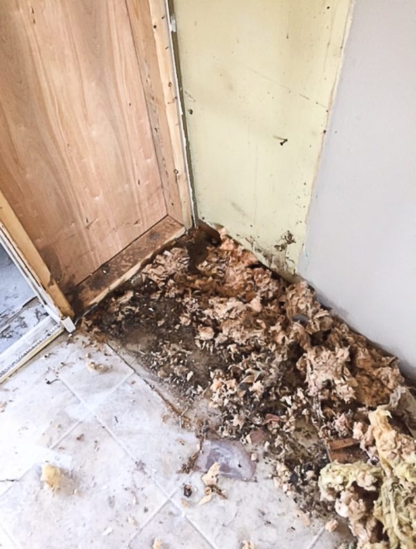 Unfinished Wood To Make The Flip House Kitchen Beautiful!