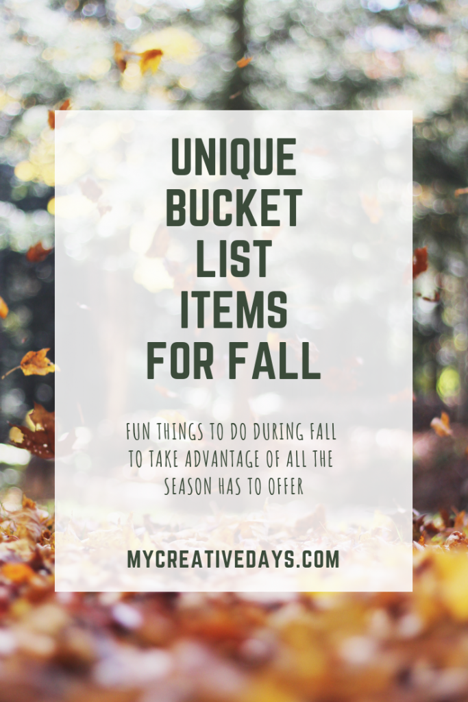 Take advantage of all the fall season has to offer with this unique bucket list ideas full of festive fall fun for you and your family!