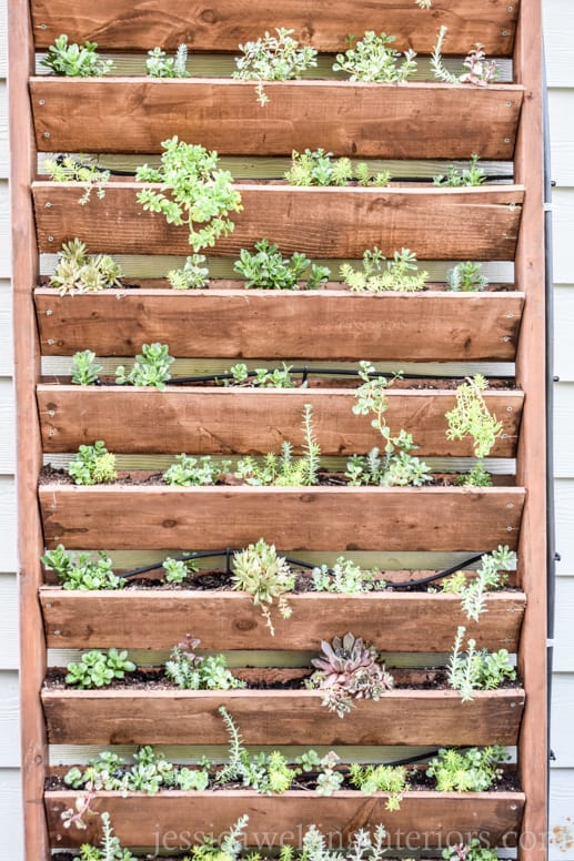 DIY Vertical Garden