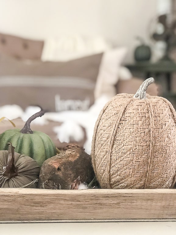 Looking for easy ways to add fall home decor to your home? These simple tips will help you do just that.