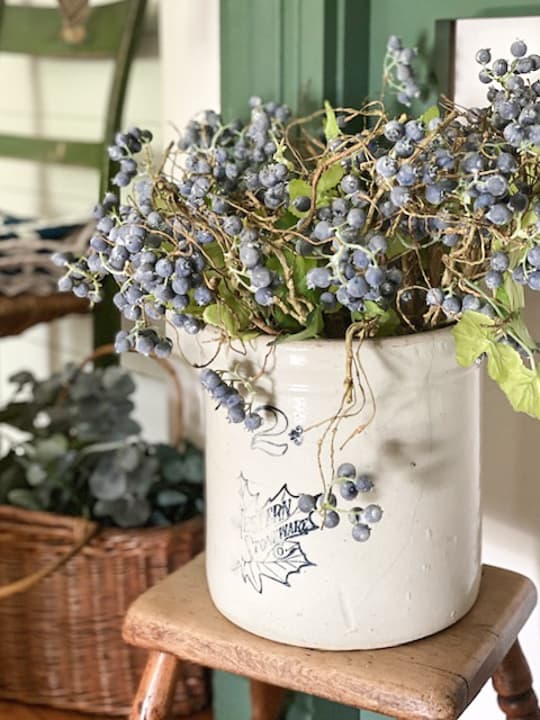 blueberry stems