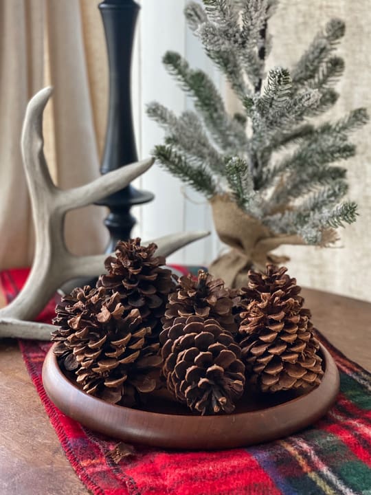Decorating for the holidays is so much fun and adding simple Christmas decor to our home is just what I needed this season.