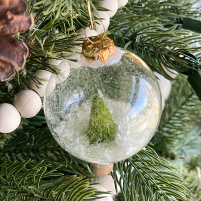 DIY Snow Globe Ornaments – Family Project