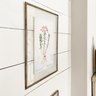 DIY Framed Botanical Prints – Get The Look For Less