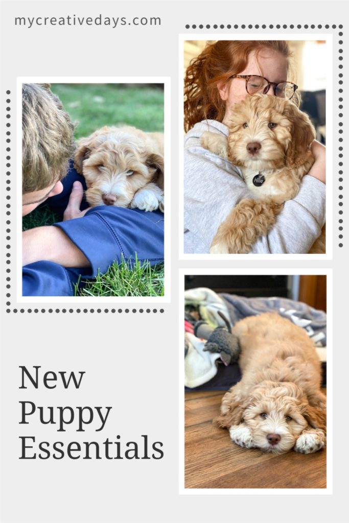 New Puppy Must-Haves - hello emily erin