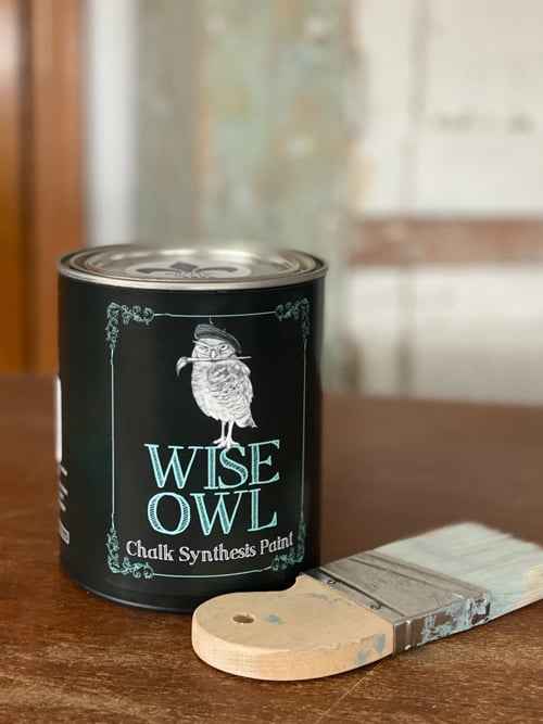 wise owl paint