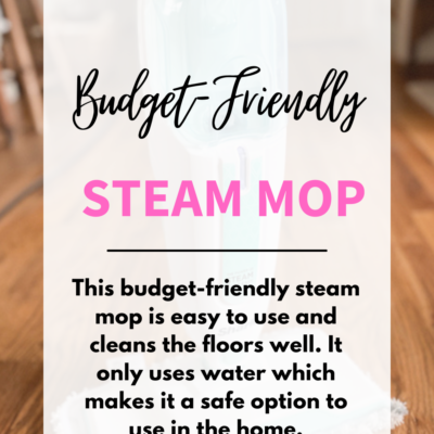 Budget-Friendly Steam Mop – I Love This Thing