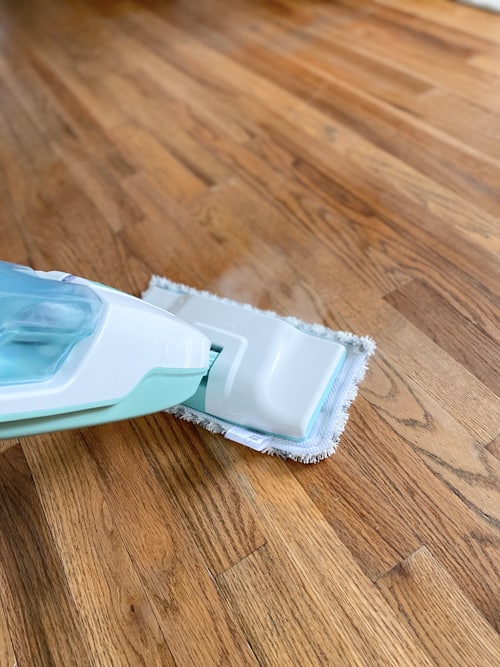 Budget Friendly Steam Mop I Love This