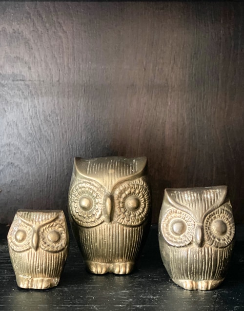 owls