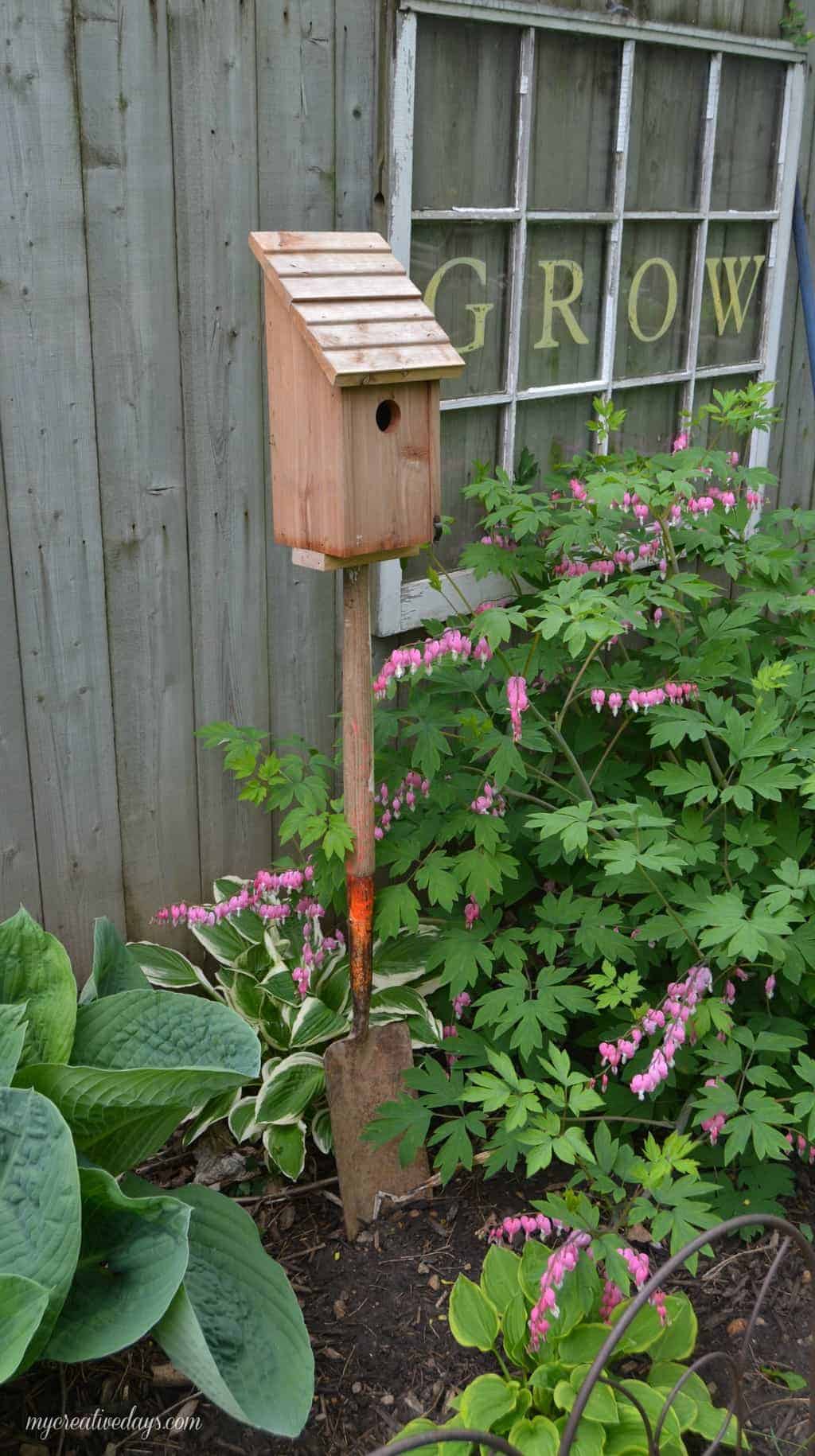 Revamp your backyard without emptying your wallet! Explore 10 budget-friendly ideas to transform your outdoor space into a stunning oasis. From DIY projects to affordable decor tips, discover inspiration to elevate your yard without breaking the bank.