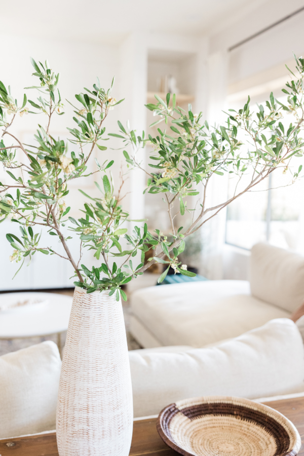 Revitalize your home with 15 DIY ideas for a spring refresh! From paint upgrades to herb gardens, discover creative ways to welcome the season.