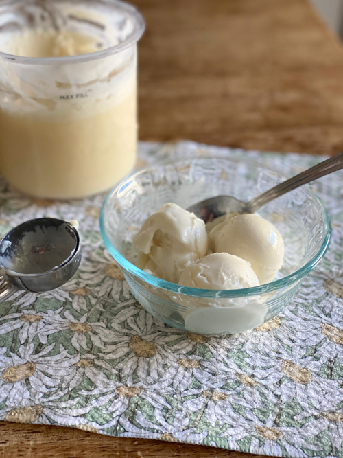 This is an easy 2 ingredient high protein vanilla ice cream recipe. Enjoy a healthy, delicious dessert that will satisfy your sweet tooth guilt-free!