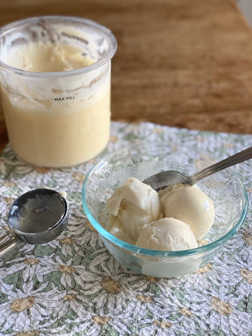 High Protein Vanilla Ice Cream Recipe