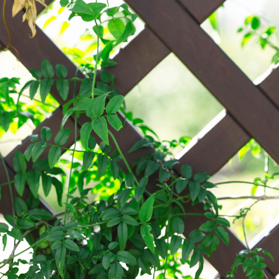Discover low cost outdoor privacy ideas to create a secluded, stylish outdoor space. From DIY screens to plants, find budget-friendly ways to add privacy today!