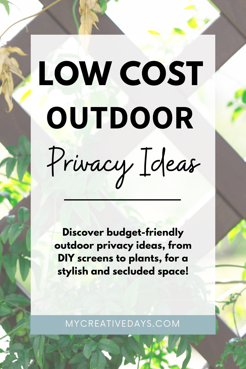 Low Cost Outdoor Privacy Ideas
