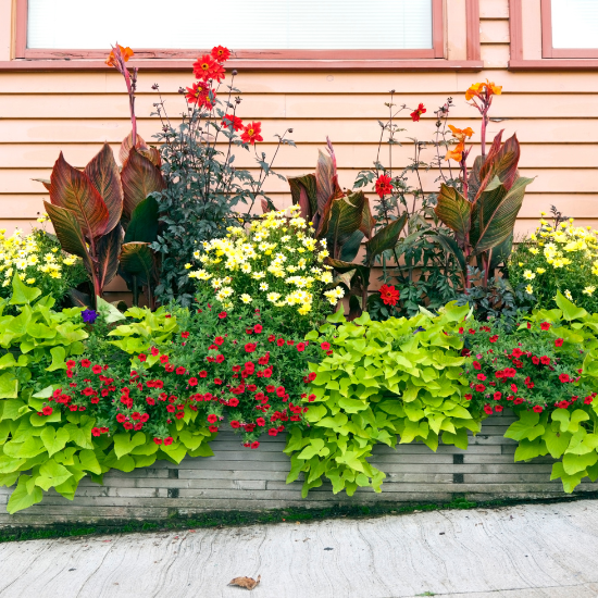Create DIY outdoor planters with these easy, budget-friendly ideas. Transform your outdoor space with unique DIY outdoor planters that reflect your style.