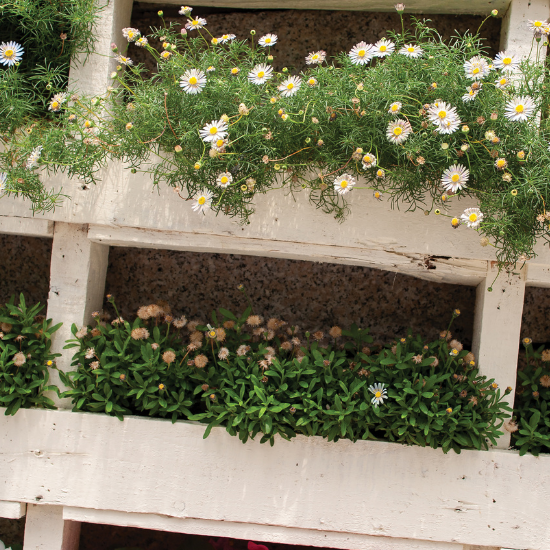 Create DIY outdoor planters with these easy, budget-friendly ideas. Transform your outdoor space with unique DIY outdoor planters that reflect your style.