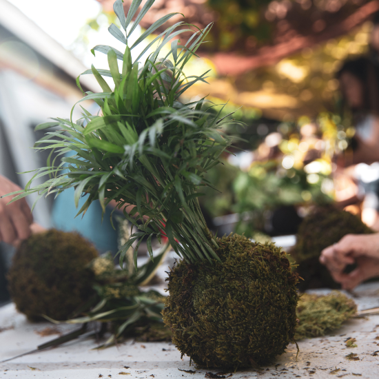 Learn how to make a kokedama with this simple step-by-step guide. Transform your plants into beautiful, pot-free decor for a stylish home.