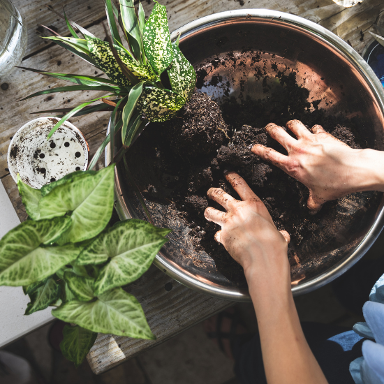 Learn how to make a kokedama with this simple step-by-step guide. Transform your plants into beautiful, pot-free decor for a stylish home.