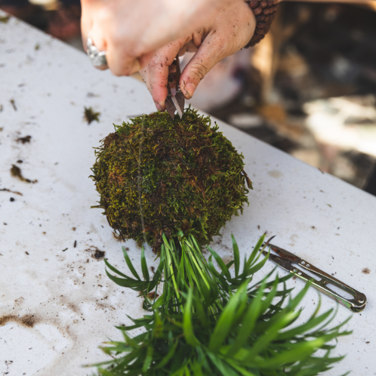 Learn how to make a kokedama with this simple step-by-step guide. Transform your plants into beautiful, pot-free decor for a stylish home.
