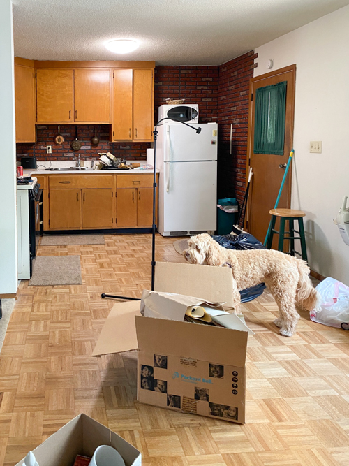 Take a Flip House Before Tour of our 10th fixer upper! See raw before photos, design plans, and expert tips for flipping houses the smart way.