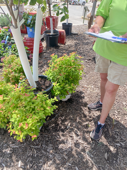How Earl May’s DIY Dynamic Design Added Instant Curb Appeal
