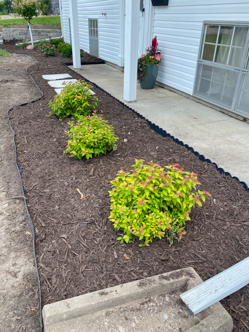 Discover how Earl May’s DIY Dynamic Design helps you choose the perfect plants with expert guidance—turn any yard into a beautiful, well-planned space.