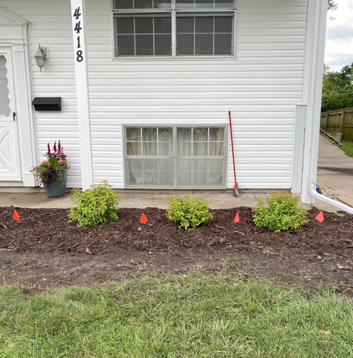 Discover how Earl May’s DIY Dynamic Design helps you choose the perfect plants with expert guidance—turn any yard into a beautiful, well-planned space.