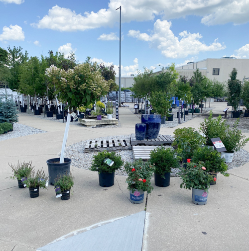 Discover how Earl May’s DIY Dynamic Design helps you choose the perfect plants with expert guidance—turn any yard into a beautiful, well-planned space.