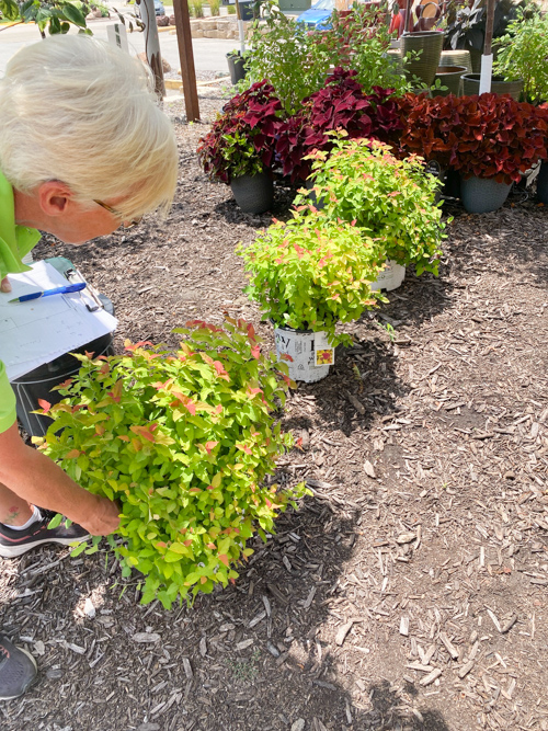 Discover how Earl May’s DIY Dynamic Design helps you choose the perfect plants with expert guidance—turn any yard into a beautiful, well-planned space.