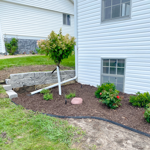 Discover how Earl May’s DIY Dynamic Design helps you choose the perfect plants with expert guidance—turn any yard into a beautiful, well-planned space.