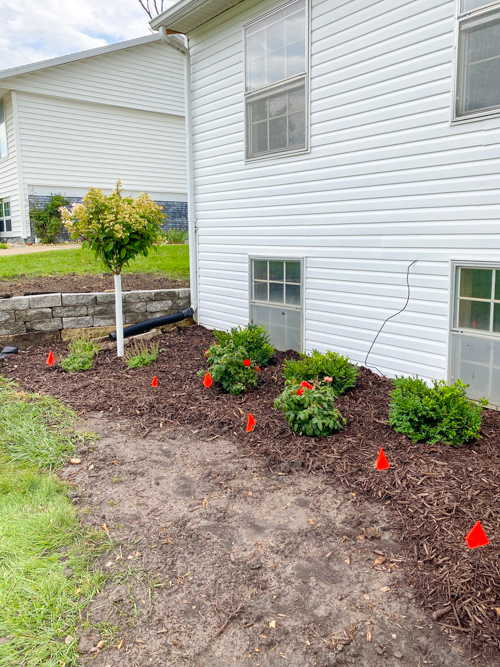 Discover how Earl May’s DIY Dynamic Design helps you choose the perfect plants with expert guidance—turn any yard into a beautiful, well-planned space.
